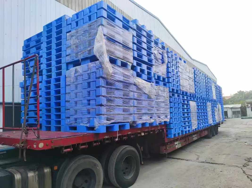 1736910345170784.jpg 微信圖片_20241211164107.jpg